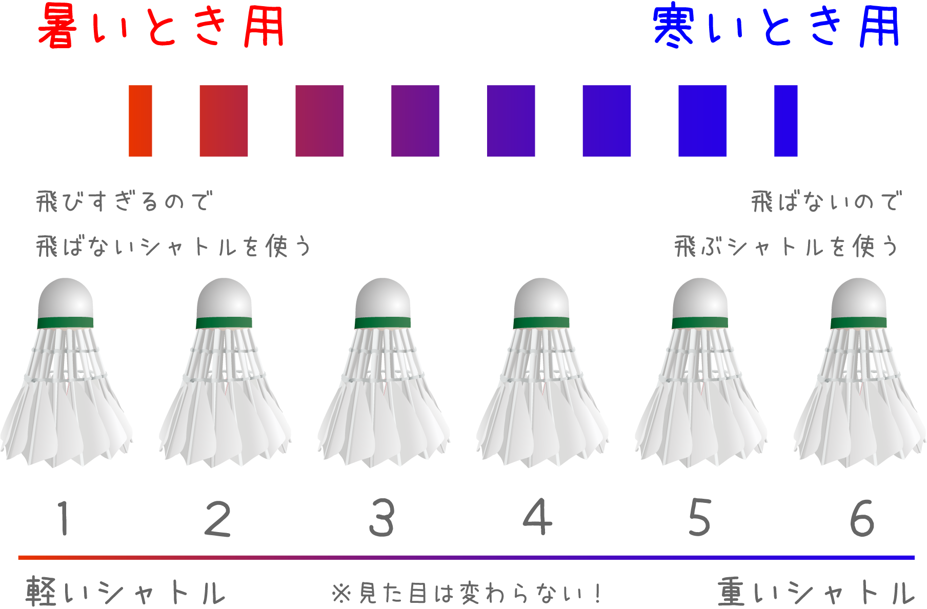 バドミントンシャトル折れなし〜1本欠損まで